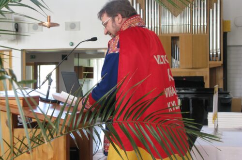 Virallinen kylähullu.